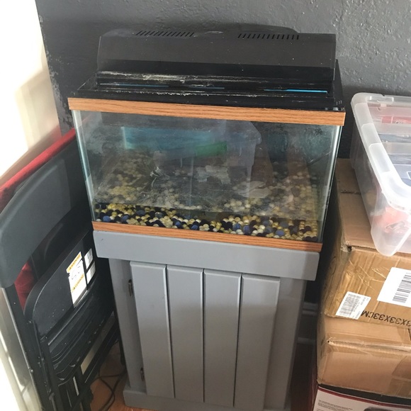 Fish Tank - Picture 3 of 3